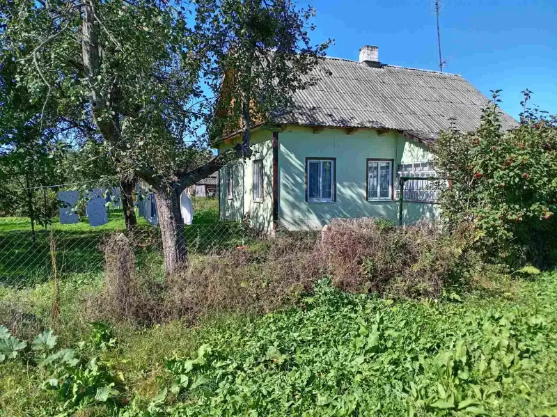 Дом в деревне Тобулки, Пинский район