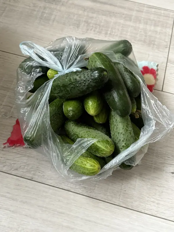 Овощи