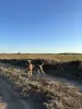 Девочка 3,5 месяца даром