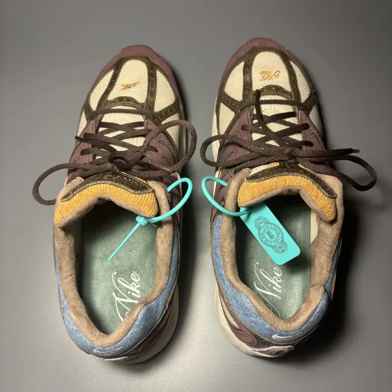 Кроссовки Nike air pegasus 2k5