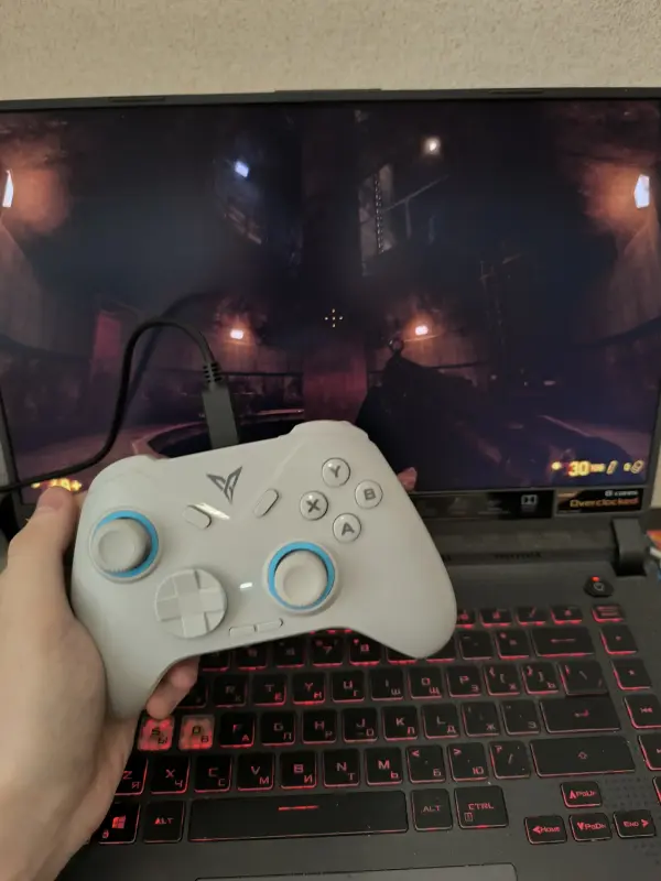 Геймпад Flydigi Direwolf