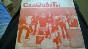 Виниловая Грампластинка Самоцветы