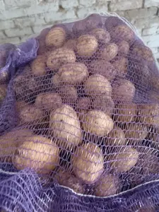 Картофель