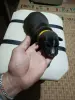 Продам щенков стаффордширского терьера