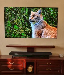 OLED телевизор LG OLED65WX9LA