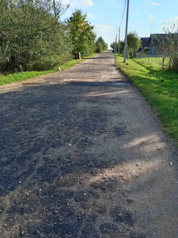 Дом в деревне Тобулки, Пинский район