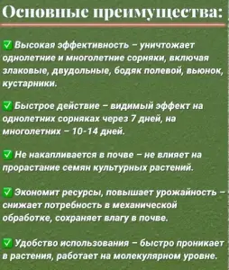 Средство против сорняков гербицид