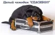 Анатолий