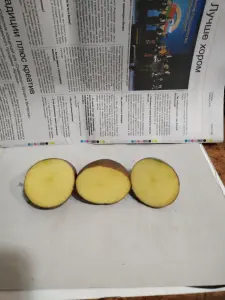 Картофель