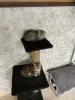 шотландский котик