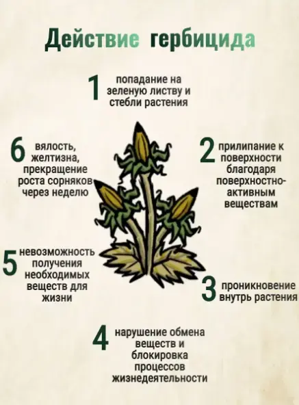 Средство против сорняков гербицид
