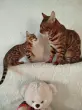 Татьяна