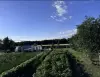 Дом  деревня Зарослое