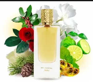 Mission от Parli Parfum парфюм