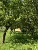 Дачный дом и участок  деревня Задорожье