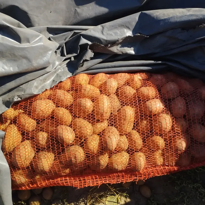 Продаётся картошка , цена договорная , самовывозом