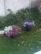 Людмила