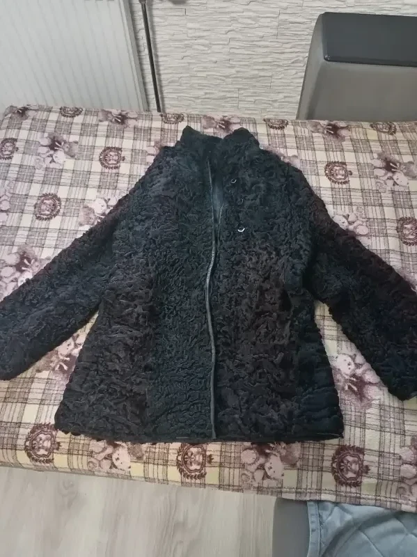 Одежда