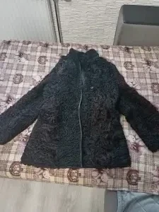 Одежда
