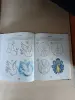 Книга. Большая книга художника для самых маленьких
