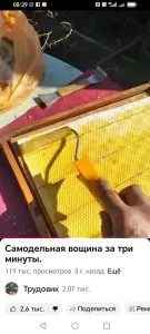 Матрица  пчелиная, своя вощина.