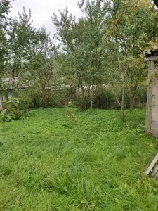 Участок, собственность.
