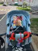 Коляска Adamex Zico 3в1