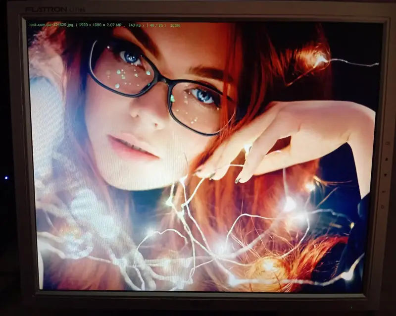 Монитор LG L1718S-SN