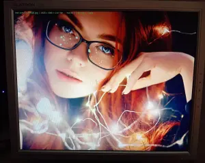 Монитор LG L1718S-SN