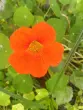user_65571