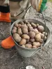Картофель (картошка) мелкий,корм скоту