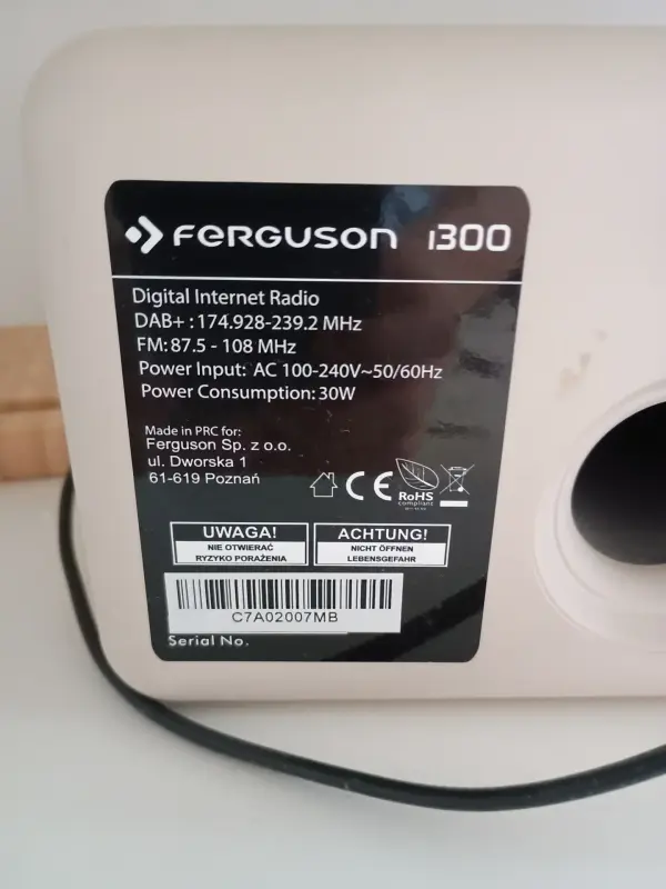 Радио Digital Internet radio Fergusion I300