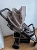 Детская прогулочная коляска Carrello Echo 2022 / CRL-8508 (Camel Beige)
