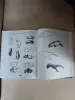 Книга. Большая книга художника для самых маленьких