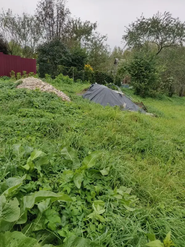 Продажа участка 10 соток. Частная собственность. - Вилейка - 207506 - Доска объявлений Kupika.by - Фото 8