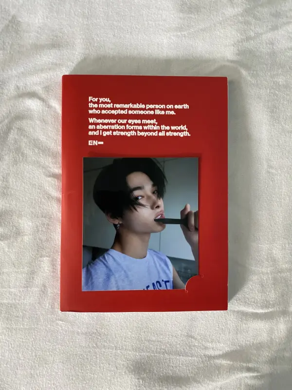 k-pop альбом enhypen,фотокарта enhypen и stray kids,плакат stray kids