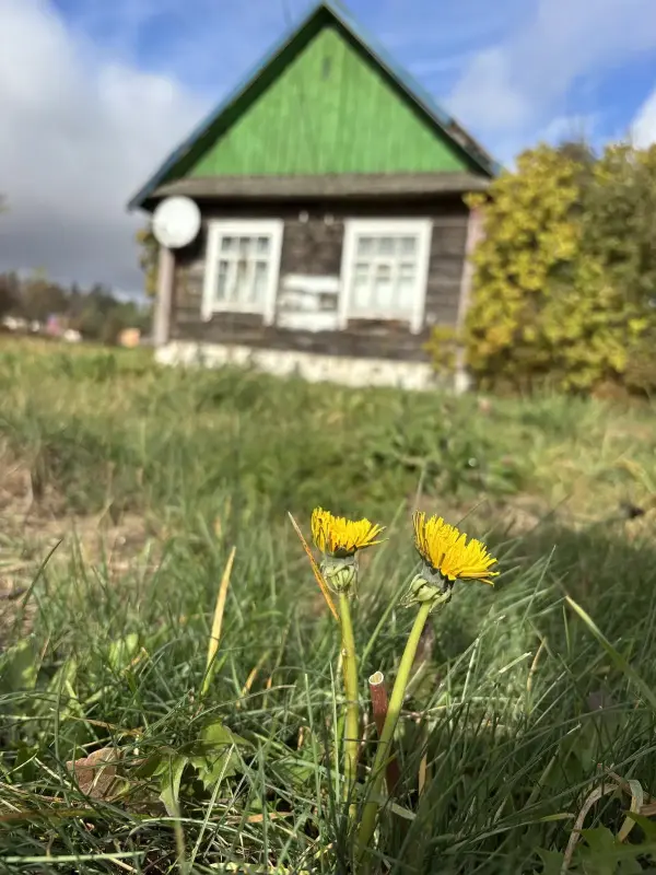 Продается дом д.Кучкуны Столбцовского района