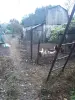 Деревянный дом . Продажа