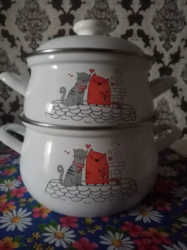 2 кастрюли 2 и 3 л