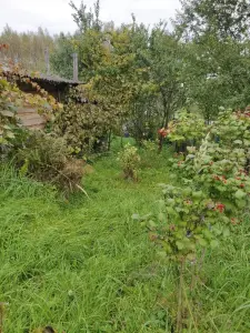 Продажа участка 10 соток. Частная собственность.