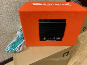 Корпусной активный сабвуфер DL Audio Barracuda 10A v.2