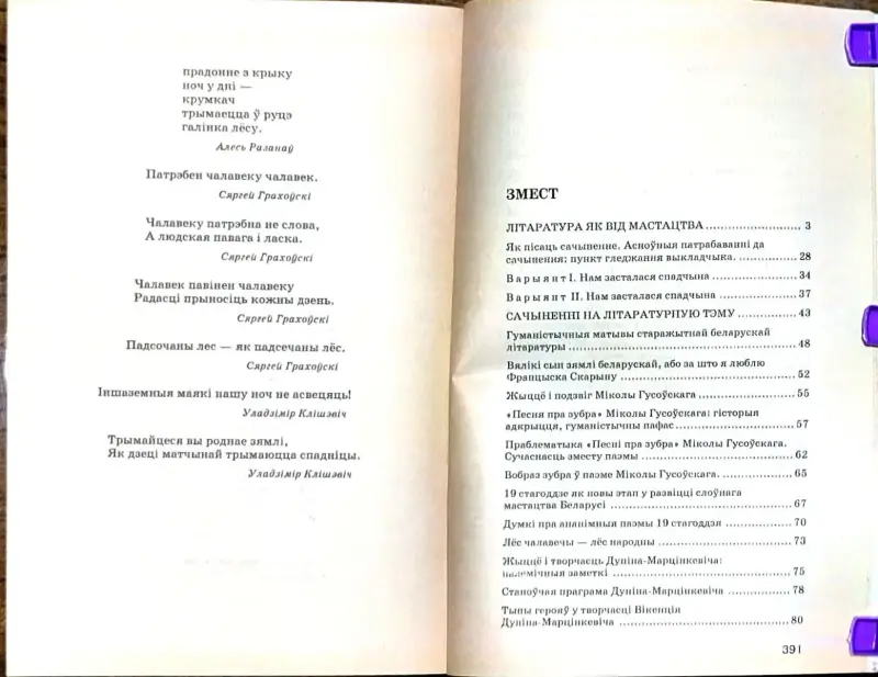 Мікола Мiшчанчук - 100 Лепшых сачыненняў. Беларуская лiтаратура