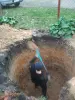 Наружная канализация из бетонных колец ''ПОД КЛЮЧ'