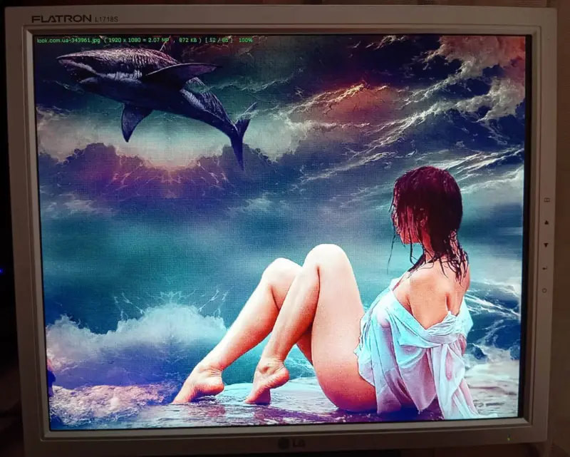 Монитор LG L1718S-SN