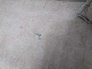 Угловой диван и кресло