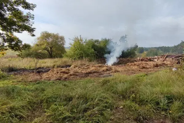Дом деревянный