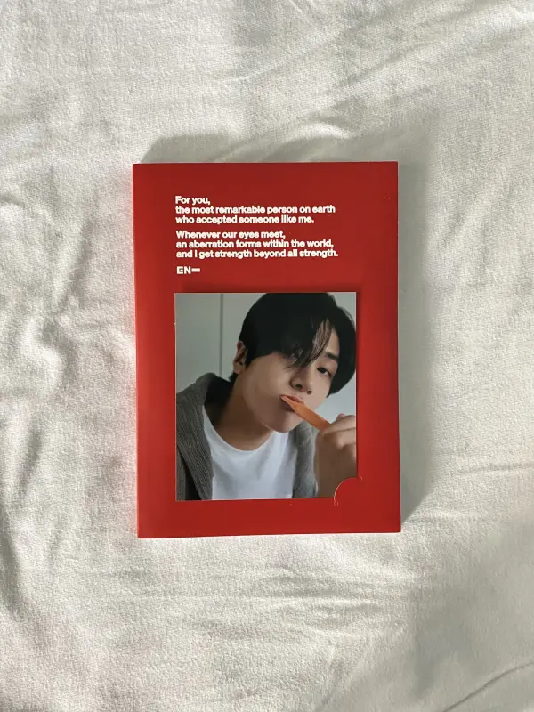 k-pop альбом enhypen,фотокарта enhypen и stray kids,плакат stray kids
