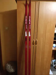 Лыжи Tisa 2,10  пластик