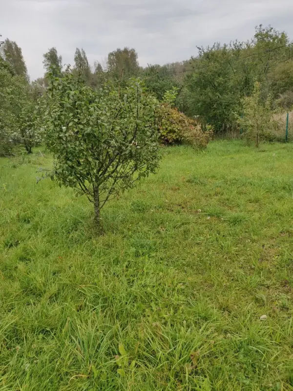 Продажа участка