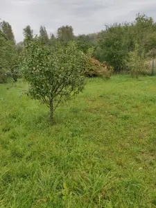 Продажа участка